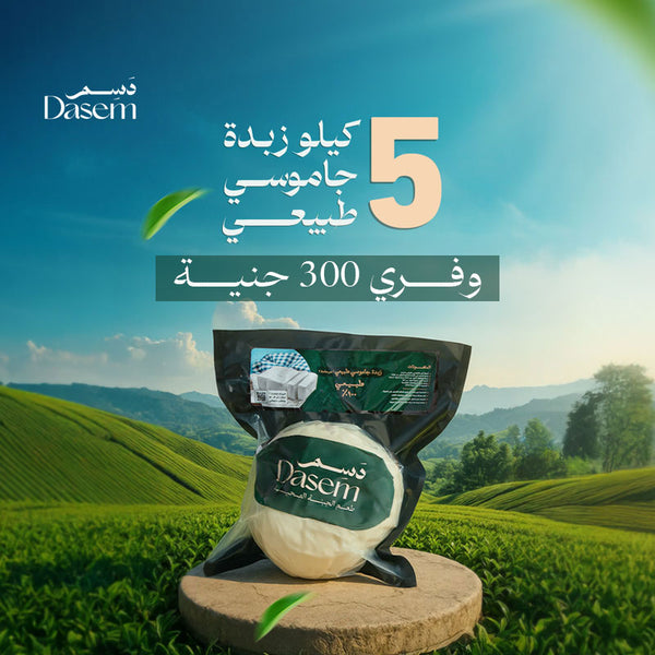 بوكس العيد